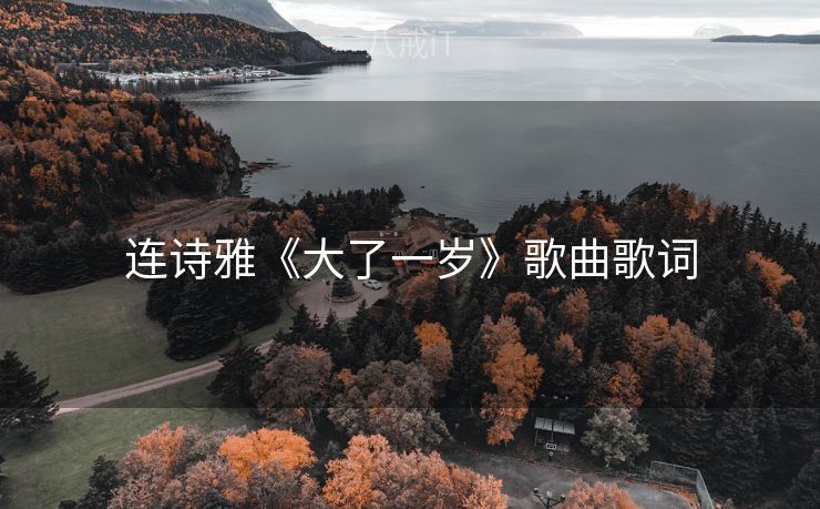 连诗雅《大了一岁》歌曲歌词