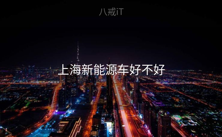 上海新能源车好不好