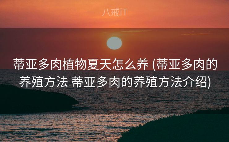 蒂亚多肉植物夏天怎么养 (蒂亚多肉的养殖方法 蒂亚多肉的养殖方法介绍)