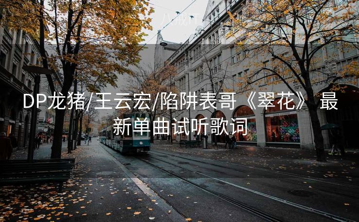 DP龙猪/王云宏/陷阱表哥《翠花》 最新单曲试听歌词
