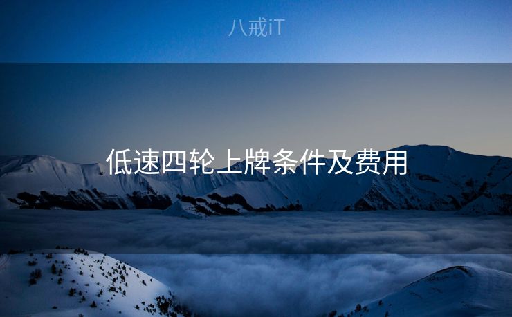 低速四轮上牌条件及费用