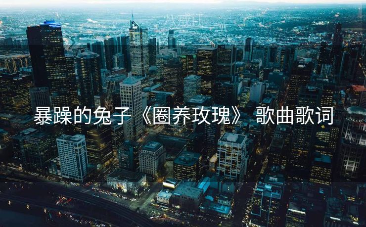 暴躁的兔子《圈养玫瑰》 歌曲歌词