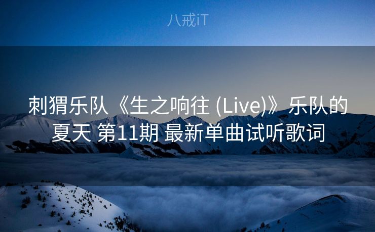 刺猬乐队《生之响往 (Live)》乐队的夏天 第11期 最新单曲试听歌词