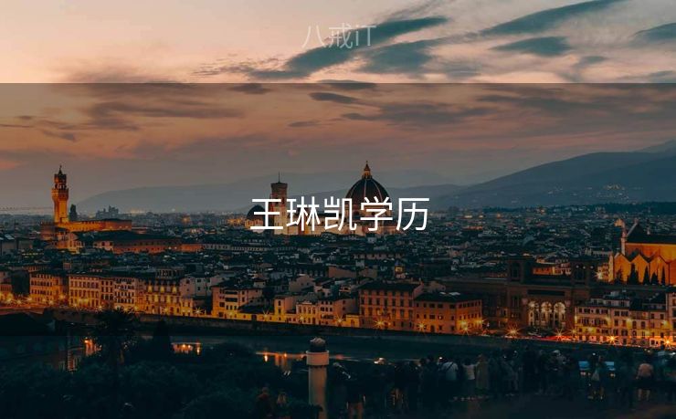 王琳凯学历
