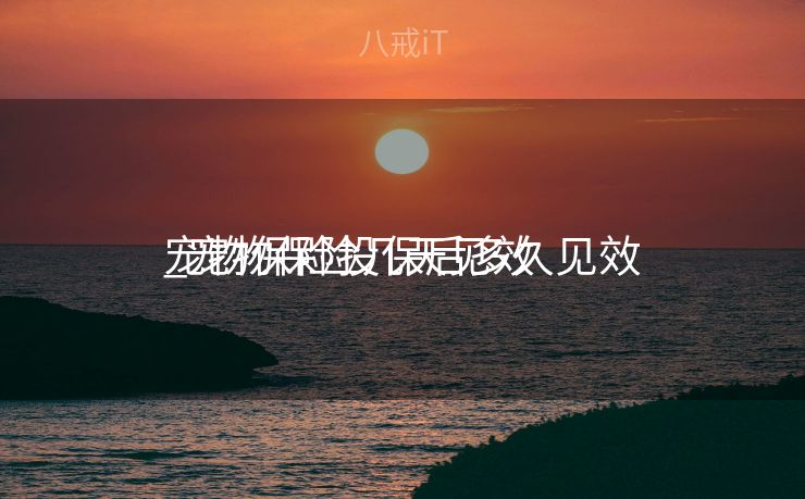 宠物保险投保后多久见效
_宠物保险几天见效
 宠物保险投保后多久见效
_宠物保险几天见效