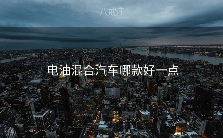  电油混合汽车哪款好一点