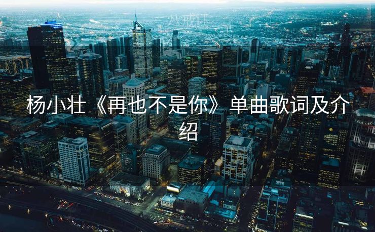 杨小壮《再也不是你》单曲歌词及介绍