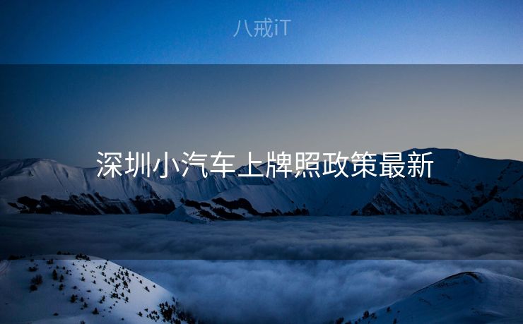  深圳小汽车上牌照政策最新