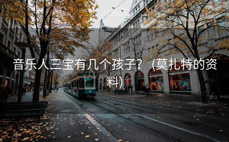 音乐人三宝有几个孩子？ (莫扎特的资料)