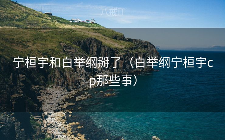 宁桓宇和白举纲掰了（白举纲宁桓宇cp那些事）