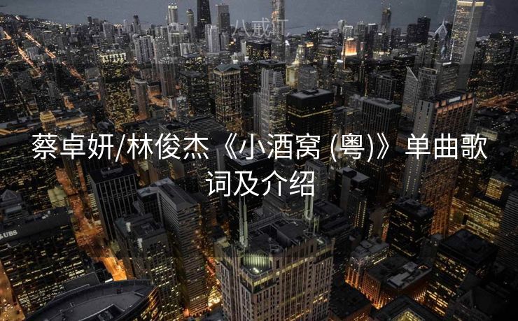 蔡卓妍/林俊杰《小酒窝 (粤)》单曲歌词及介绍