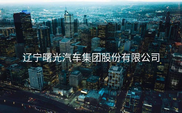 辽宁曙光汽车集团股份有限公司