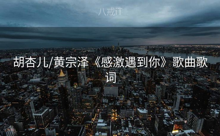 胡杏儿/黄宗泽《感激遇到你》歌曲歌词