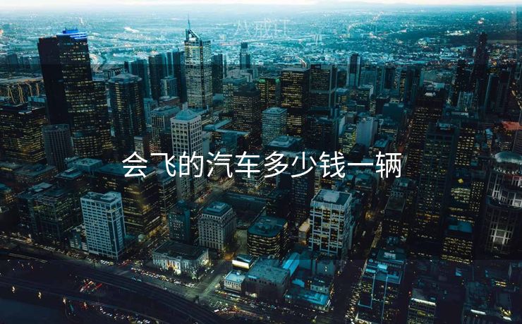 会飞的汽车多少钱一辆