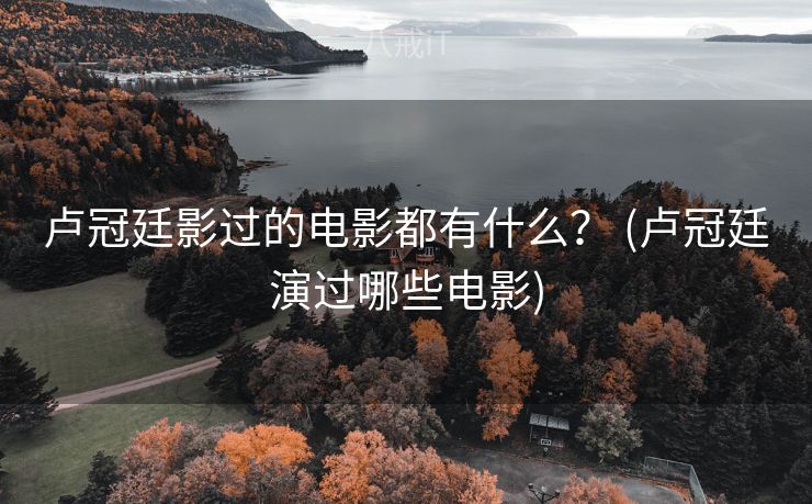 卢冠廷影过的电影都有什么？ (卢冠廷演过哪些电影)