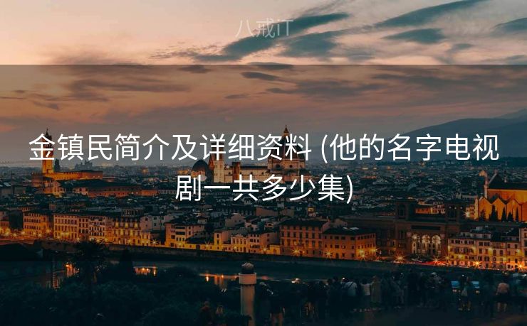 金镇民简介及详细资料 (他的名字电视剧一共多少集)