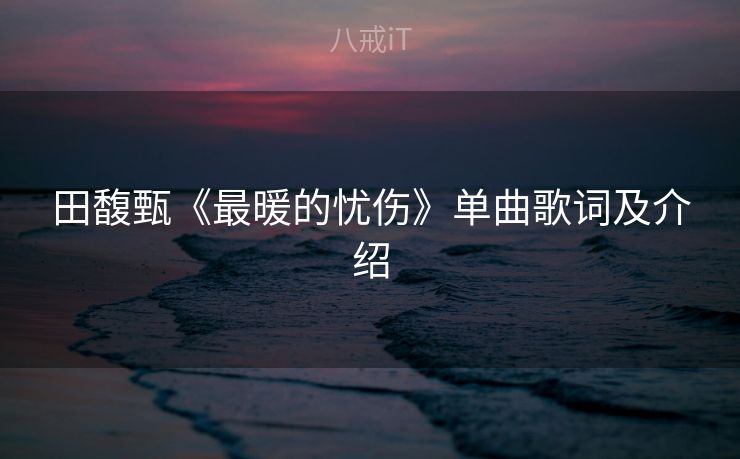 田馥甄《最暖的忧伤》单曲歌词及介绍