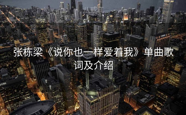 张栋梁《说你也一样爱着我》单曲歌词及介绍