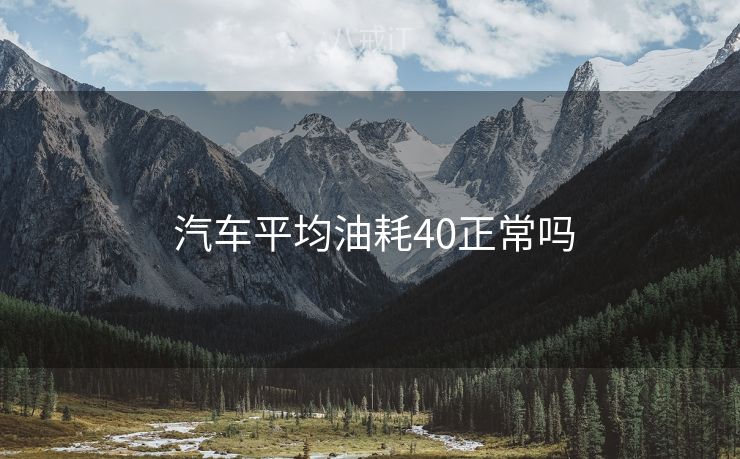  汽车平均油耗40正常吗
