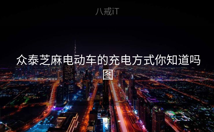  众泰芝麻电动车的充电方式你知道吗图