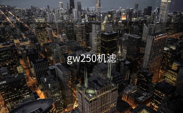 gw250机滤