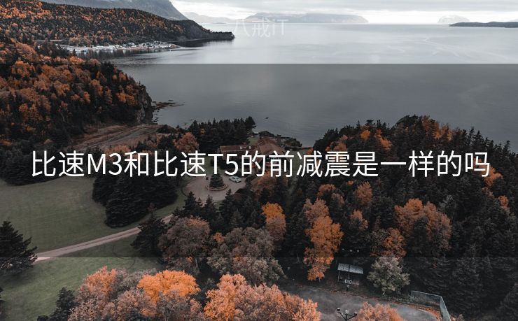 比速M3和比速T5的前减震是一样的吗