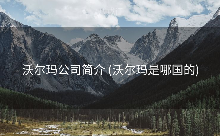 沃尔玛公司简介 (沃尔玛是哪国的)