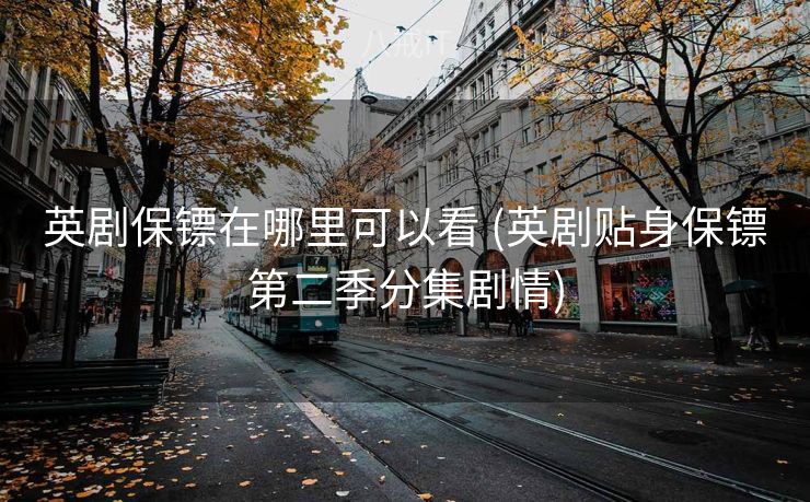 英剧保镖在哪里可以看 (英剧贴身保镖第二季分集剧情)