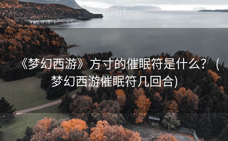 《梦幻西游》方寸的催眠符是什么？ (梦幻西游催眠符几回合)