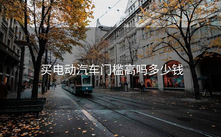  买电动汽车门槛高吗多少钱