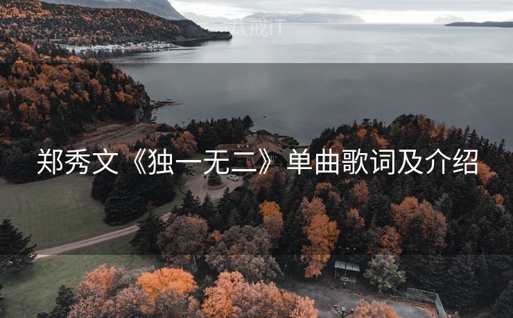 郑秀文《独一无二》单曲歌词及介绍
