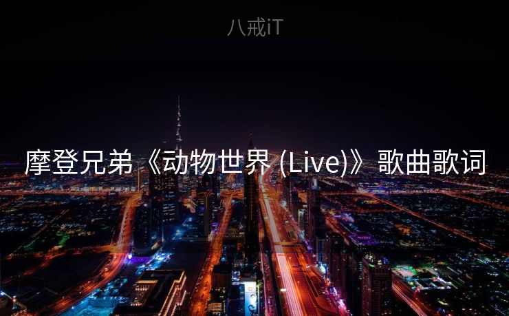 摩登兄弟《动物世界 (Live)》歌曲歌词