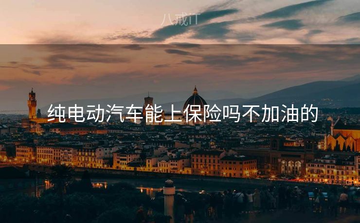  纯电动汽车能上保险吗不加油的