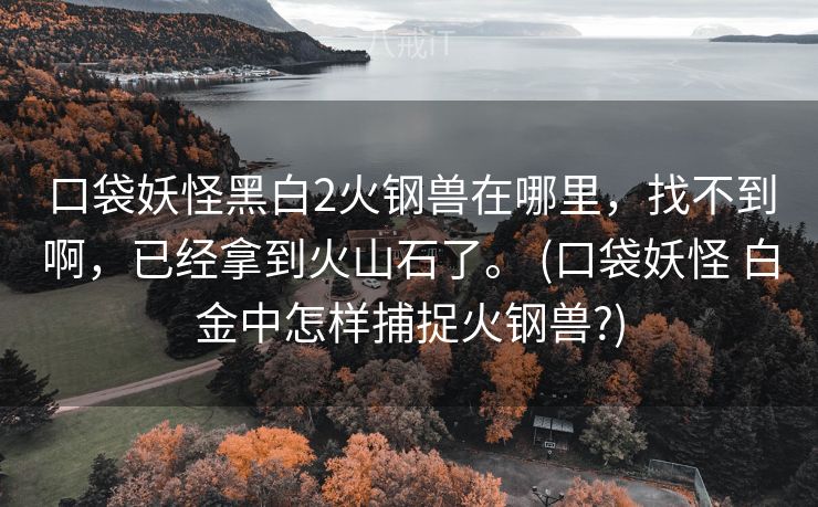 口袋妖怪黑白2火钢兽在哪里，找不到啊，已经拿到火山石了。 (口袋妖怪 白金中怎样捕捉火钢兽?)