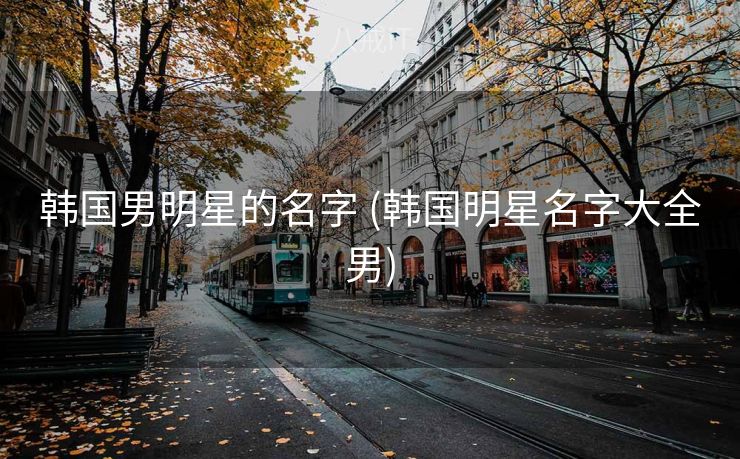 韩国男明星的名字 (韩国明星名字大全男)