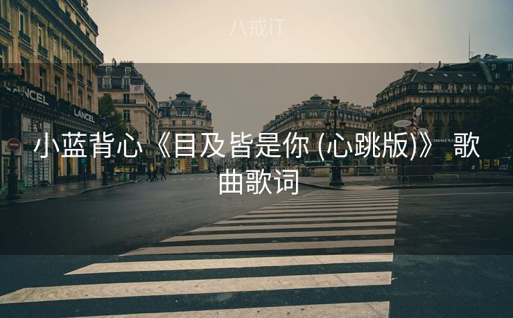 小蓝背心《目及皆是你 (心跳版)》 歌曲歌词
