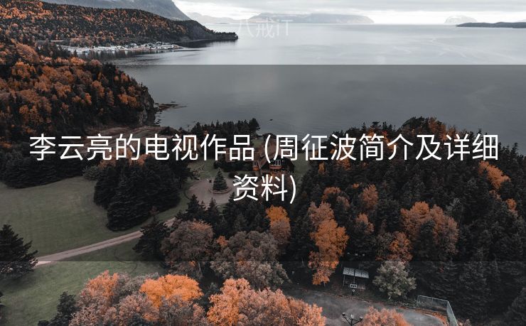李云亮的电视作品 (周征波简介及详细资料)