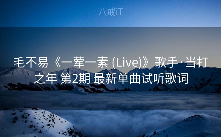 毛不易《一荤一素 (Live)》歌手·当打之年 第2期 最新单曲试听歌词