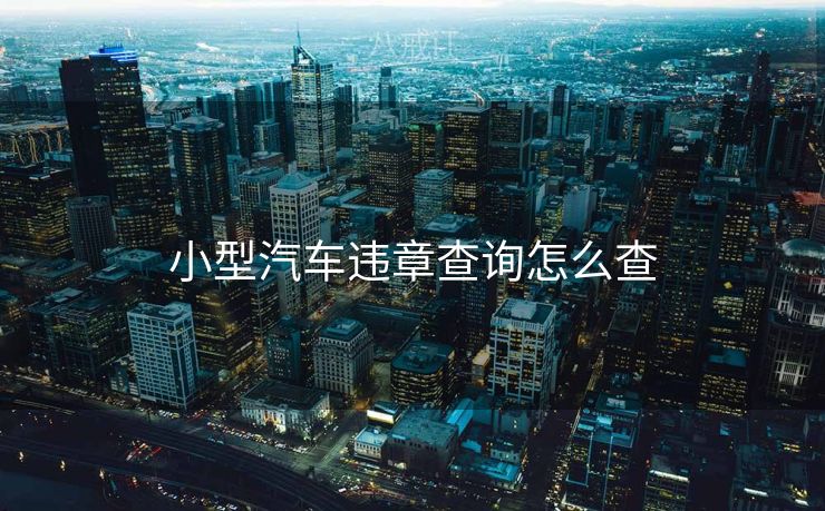 小型汽车违章查询怎么查