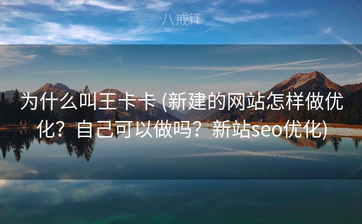 为什么叫王卡卡 (新建的网站怎样做优化？自己可以做吗？新站seo优化)
