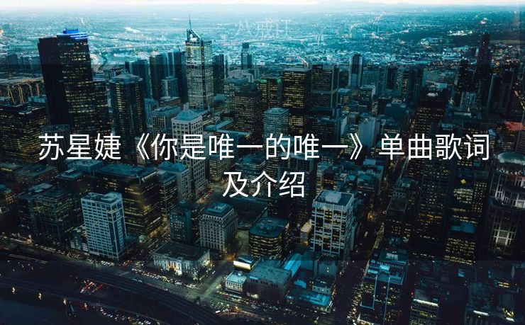 苏星婕《你是唯一的唯一》单曲歌词及介绍