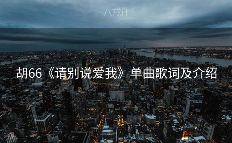 胡66《请别说爱我》单曲歌词及介绍