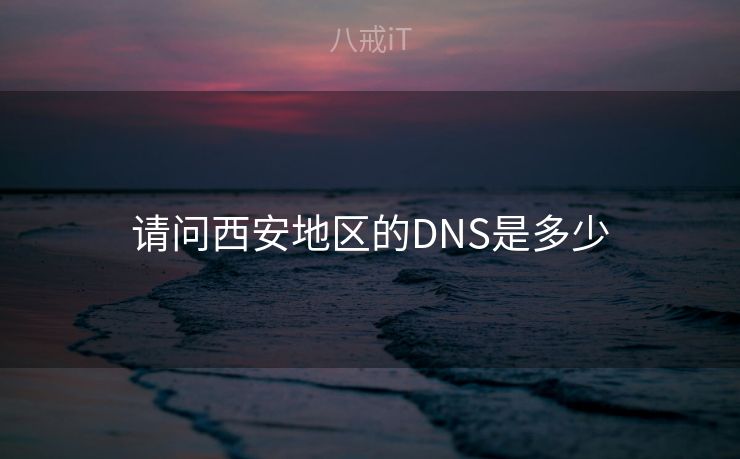 请问西安地区的DNS是多少