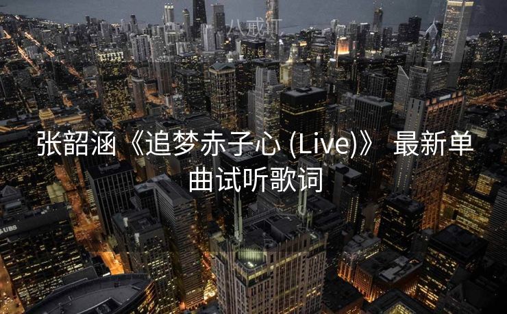 张韶涵《追梦赤子心 (Live)》 最新单曲试听歌词