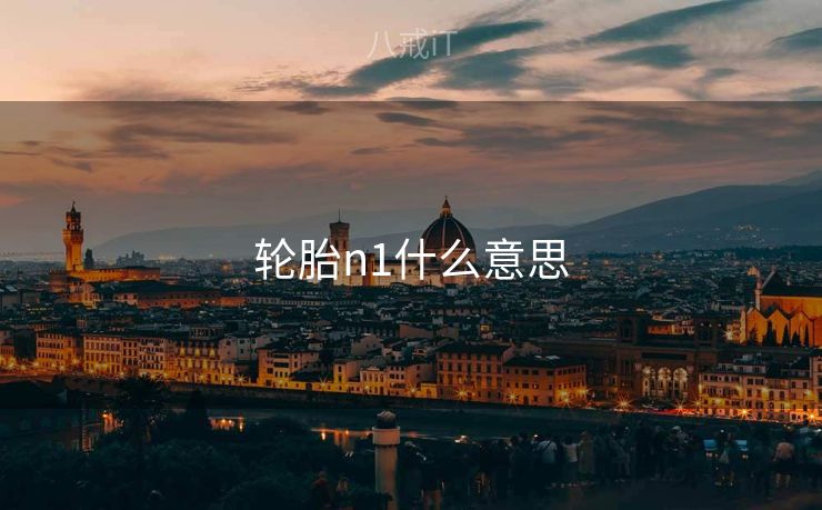 轮胎n1什么意思 轮胎n1什么意思