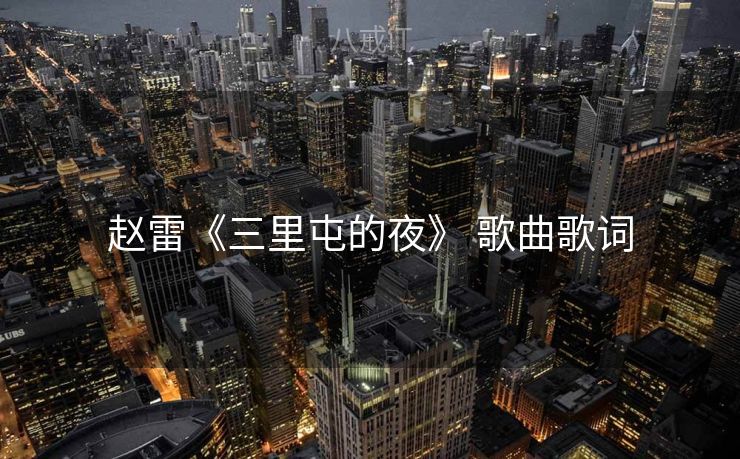赵雷《三里屯的夜》 歌曲歌词