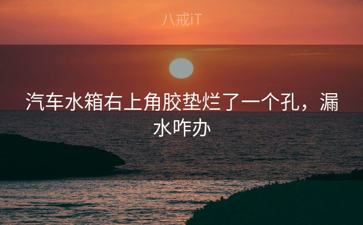 汽车水箱右上角胶垫烂了一个孔，漏水咋办