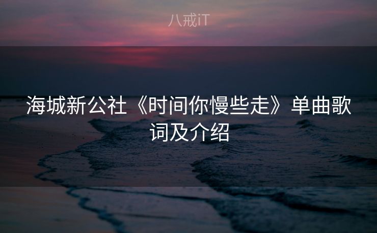 海城新公社《时间你慢些走》单曲歌词及介绍