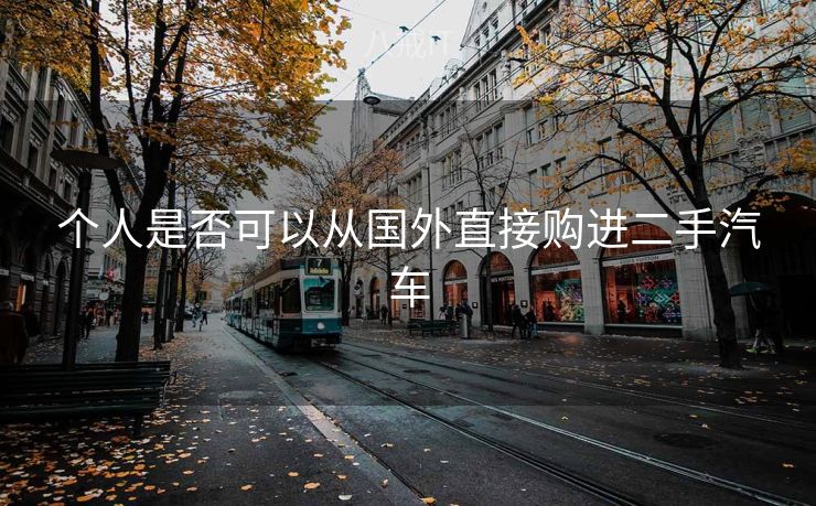 个人是否可以从国外直接购进二手汽车