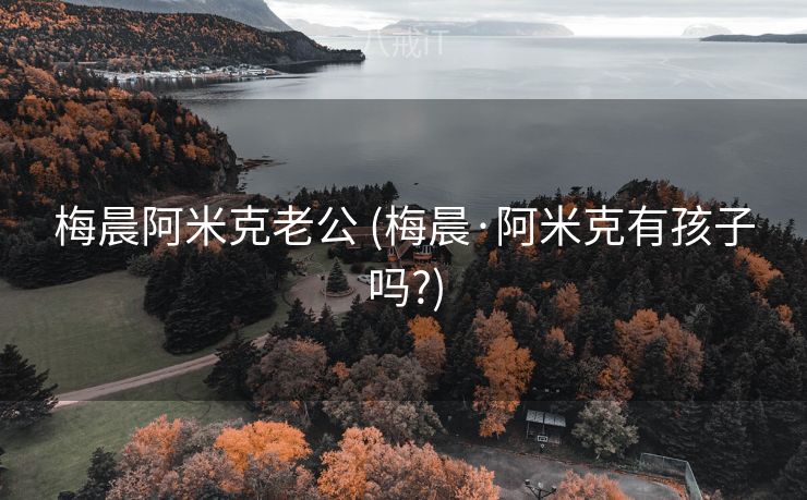 梅晨阿米克老公 (梅晨·阿米克有孩子吗?)